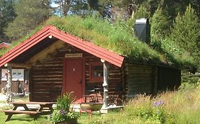 Batsto Camping
