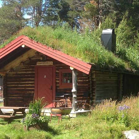 Batsto Camping Elga Eksteriør billede