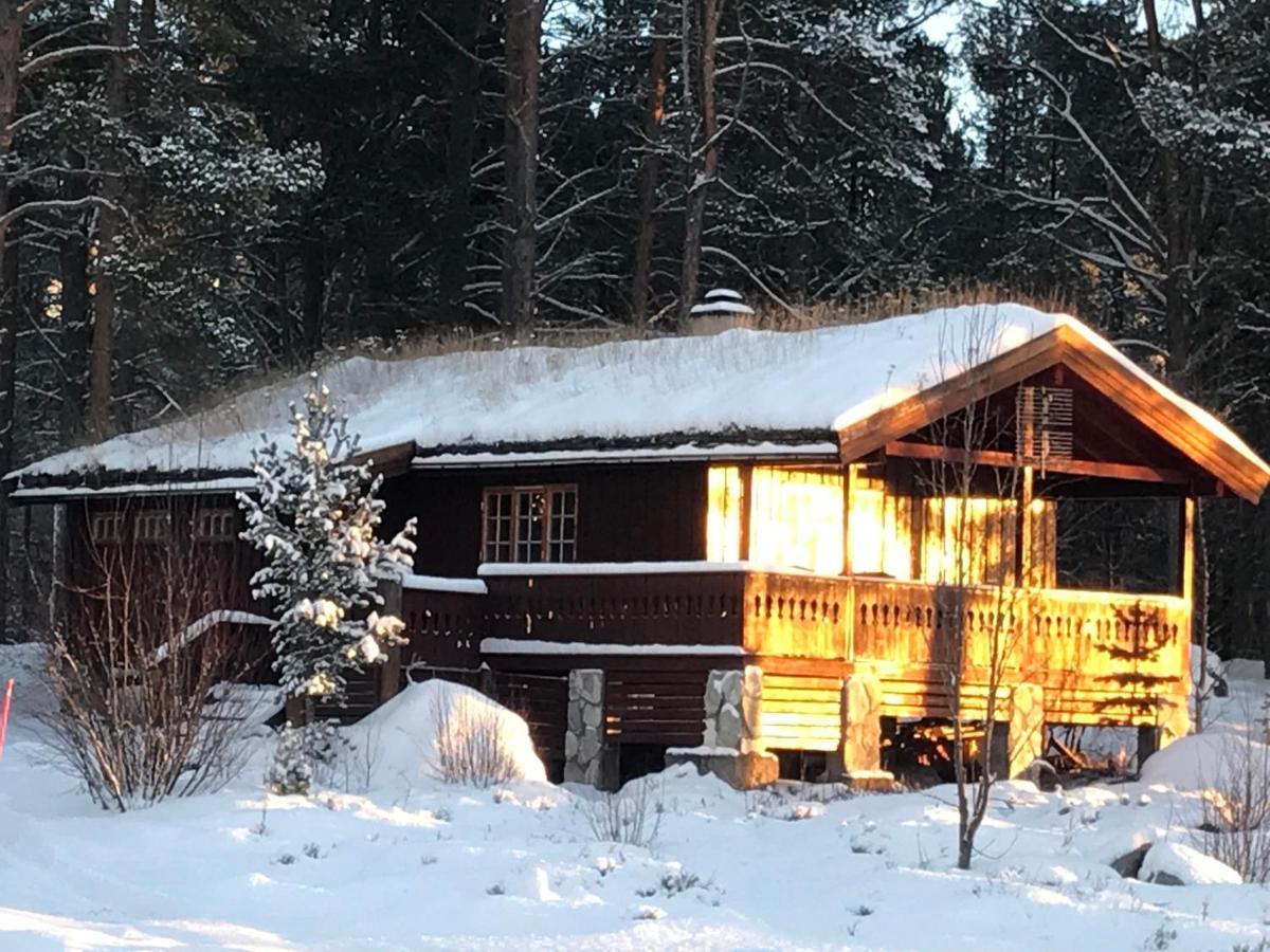 Batsto Camping Elga Eksteriør billede