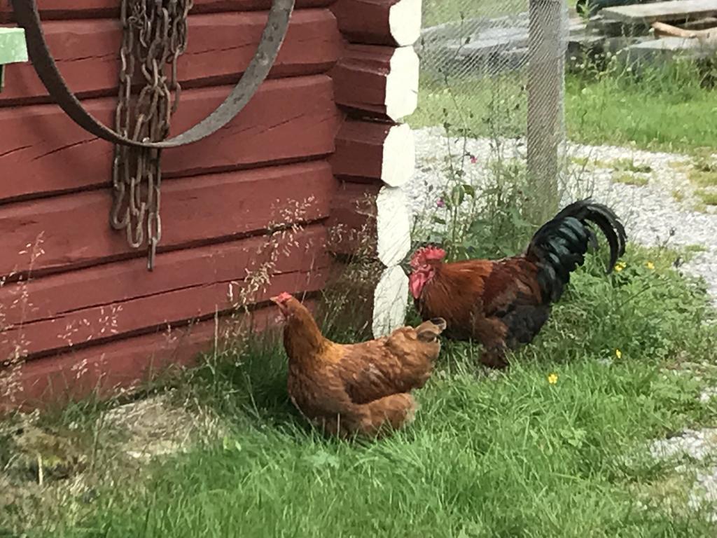 Batsto Camping Elga Eksteriør billede