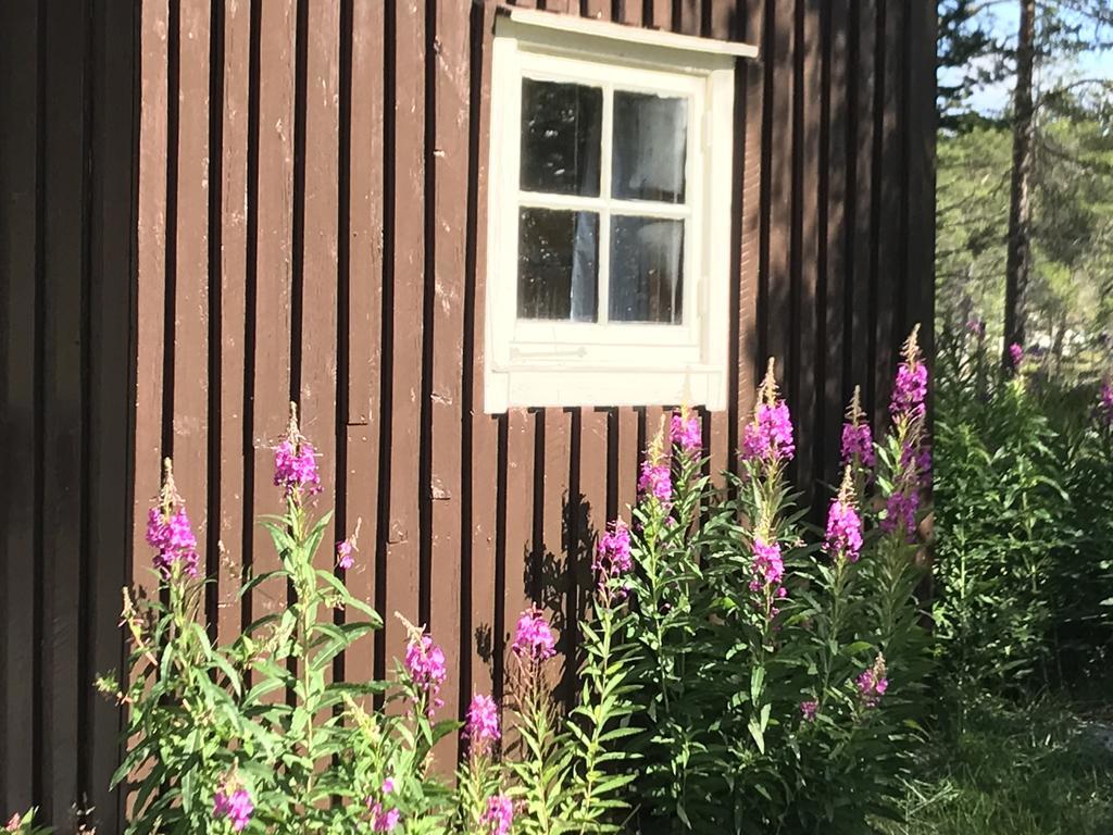 Batsto Camping Elga Eksteriør billede