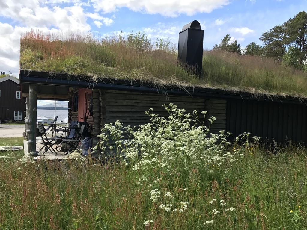 Batsto Camping Elga Eksteriør billede