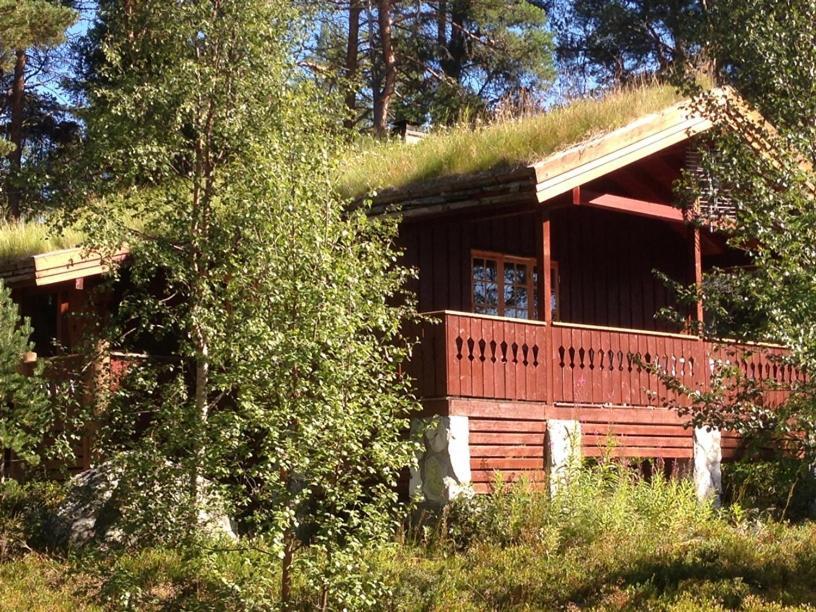 Batsto Camping Elga Eksteriør billede